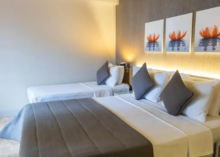 Ariel Alacati Отель 3*