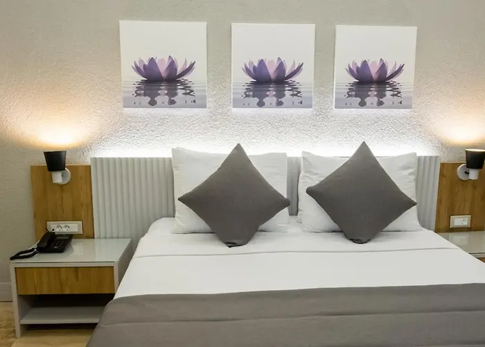 Ariel Alacati מלון 3*